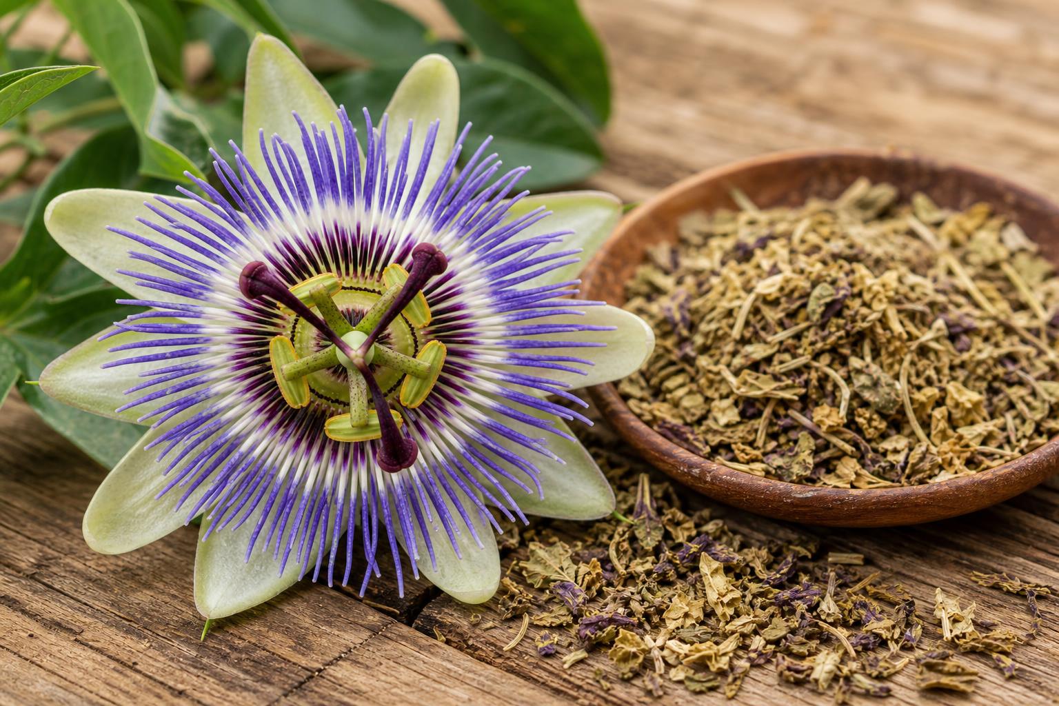 Passionflower (Passiflora incarnata) bloom and dried passionflower herb used for anxiety and sleep