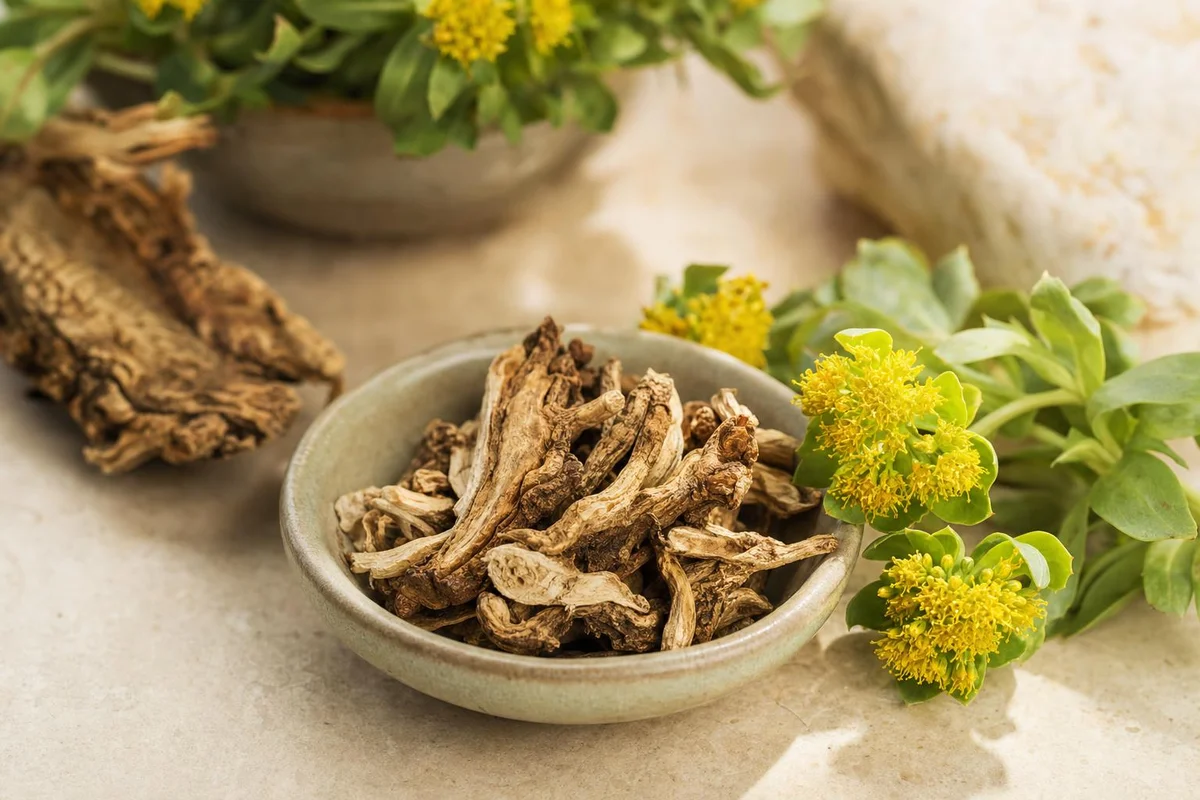 Rhodiola rosea root and flowers — an adaptogen for mental energy and ADHD