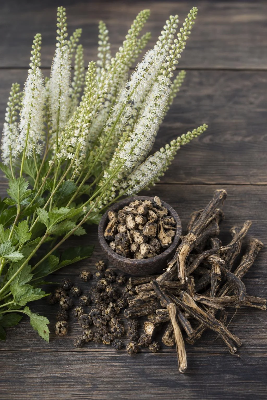 Black Cohosh Actaea Racemosa monograph visual