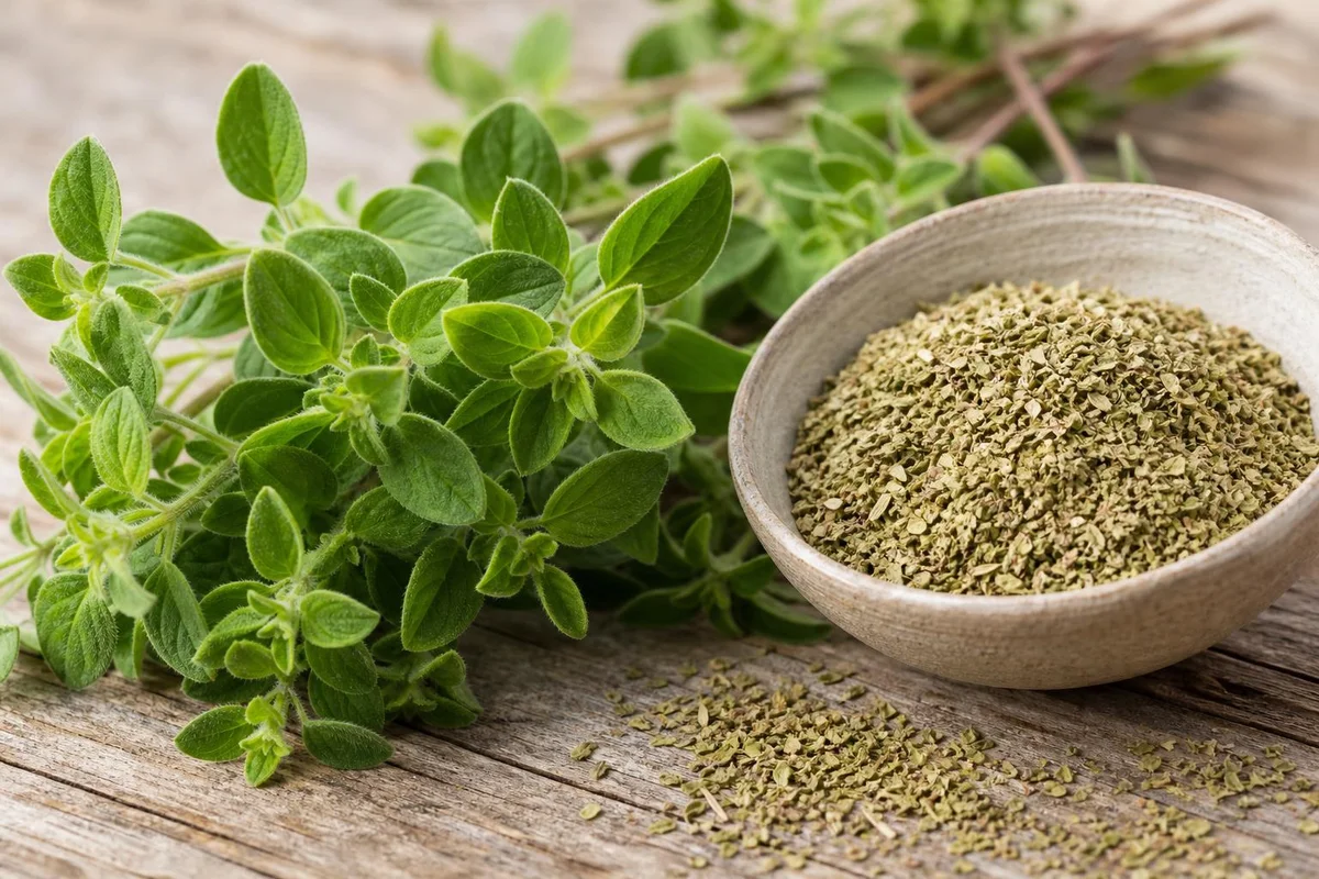 Oregano monograph visual